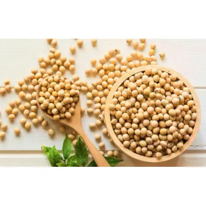 SCULPTOR / СКУЛЬПТОР