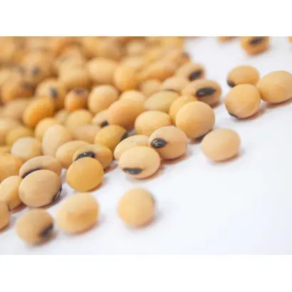 Sultana / Султана