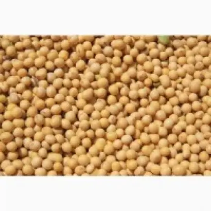 Tertia / Терсія