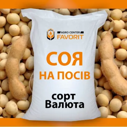 Favorit / Фаворит