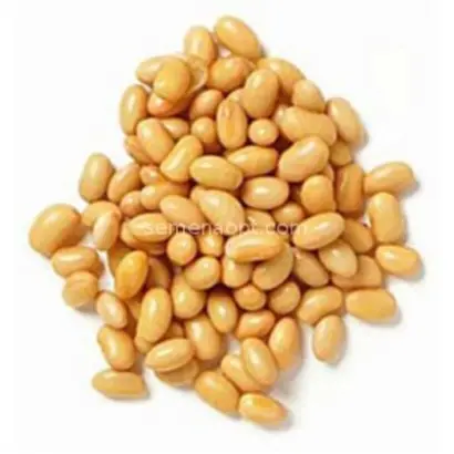 Альтаир / Альтаір