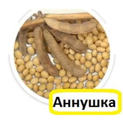 Аннушка