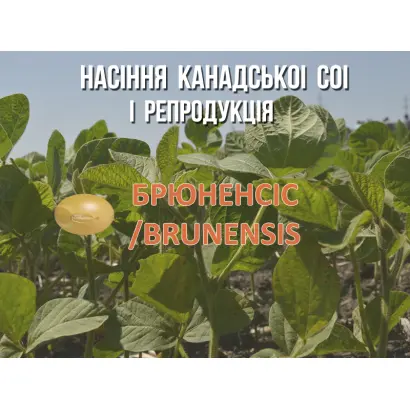 Brunensis / Брюненсіс