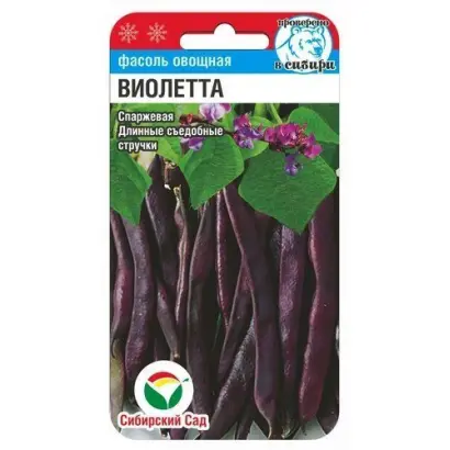 Violetta / Віолетта