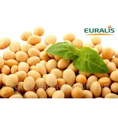 ES GLADIATOR / ЕС ГЛАДІАТОР