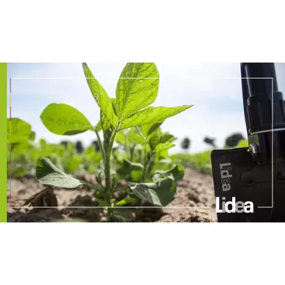 ES CONDUCTOR / ЕС КОНДУКТОР