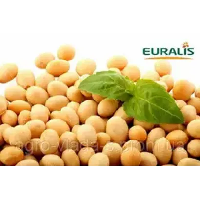 ES SENATOR / ЕС СЕНАТОР