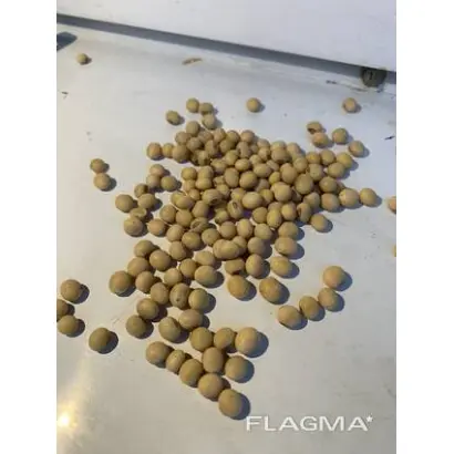 ES TENOR / ЕС ТЕНОР