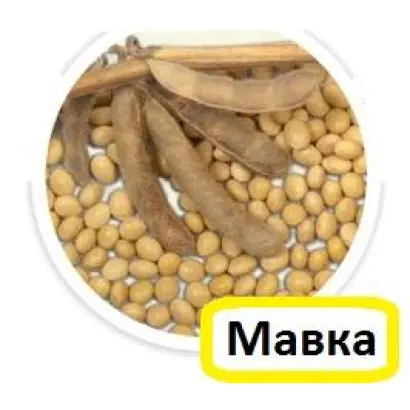 Мавка