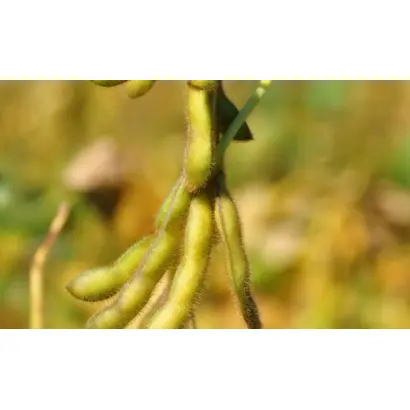 MALAGA / МАЛАГА