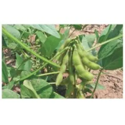 Мельпомена