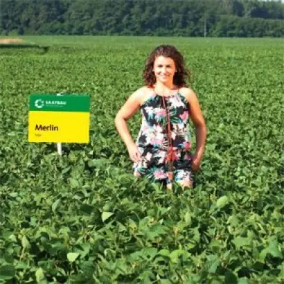 Merlin / Мерлін