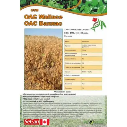 OAC Wallace / ОАС Валлас