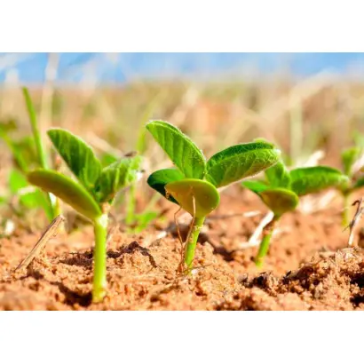 Прикарпатська 96