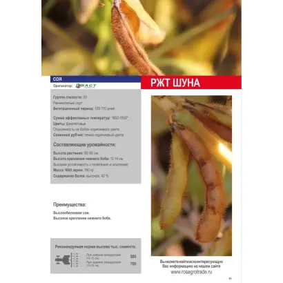 RGT SHOUNA / РЖТ ШУНА