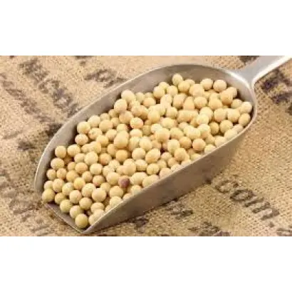 Sponsor / Спонсор