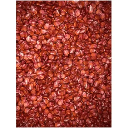 Hortica / Хортиця