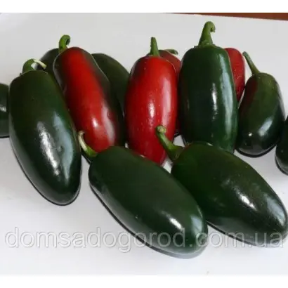 MOJAVE / МОДЖАВЕ