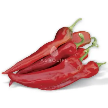 Thunder F1 / Тандер F1