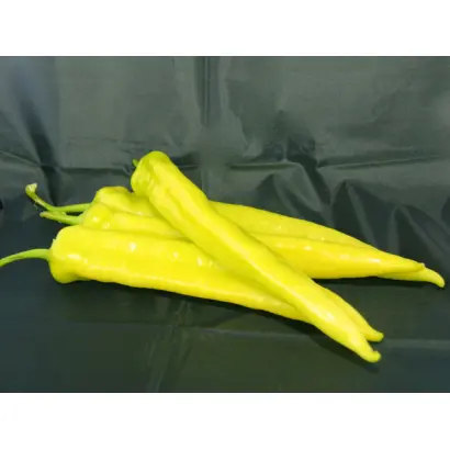 Hotstar / Хотстар