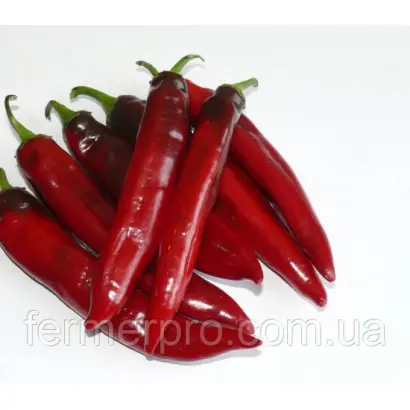 Харьковский / Харківський