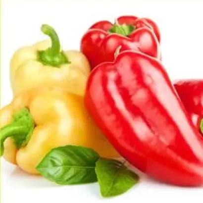 Abigal / Абігал