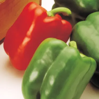 Aristotle X3R F1 / Арістотель Х3Р F1