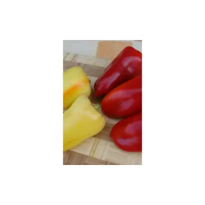 Beatrix / Беатрікс