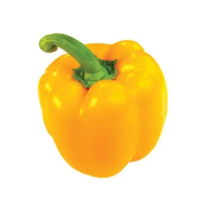 Ilanga F1 / Іланга F1