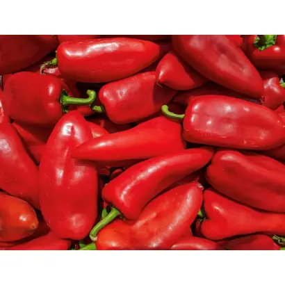 Capirossi / Капіроссі