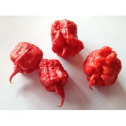 Karpex / Карпекс