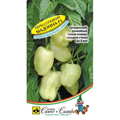 Madonna F1 / Мадонна F1