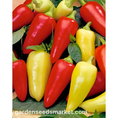 Monanta / Монанта