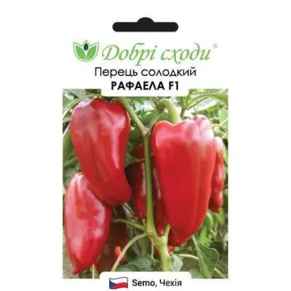 Rafaela F1 / Рафаела F1