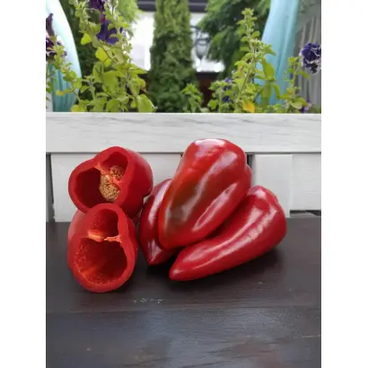 Red Ferrari / Ред Феррарі