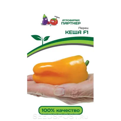 Keessie / Кейсі