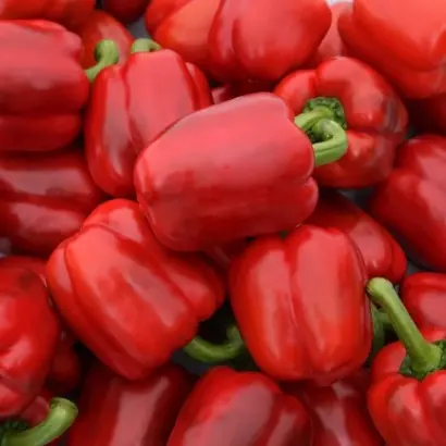 Jupiter F1 / Юпітер F1