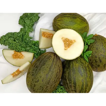 Alcarez / Алкарез