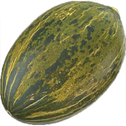 Almaden / Алмаден