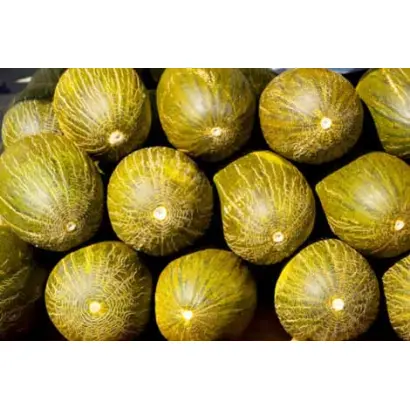 Arenales / Ареналес