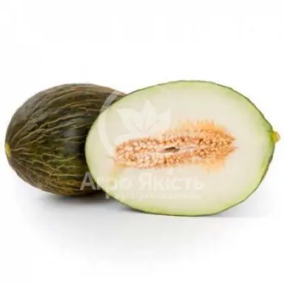 Bravura / Бравура