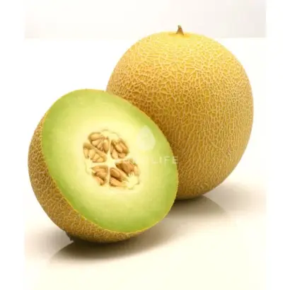 Jucar / Джукар