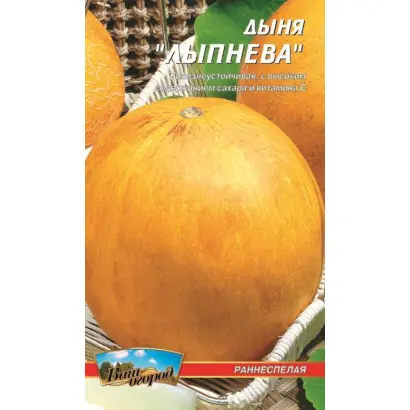 Лыпнева / Липнева