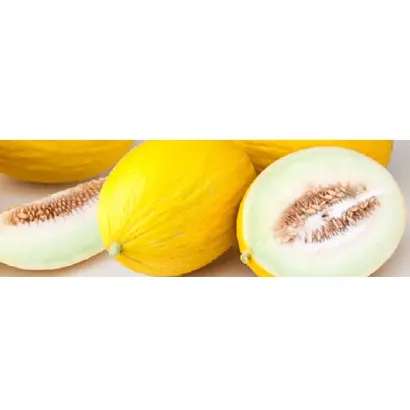 MAILLOT / МАІЛЛОТ