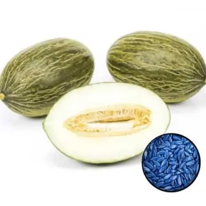 MACABEO / МАКАБЕО