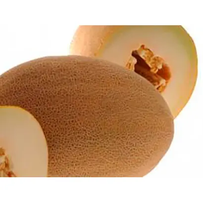 Merlin Giant / Мерлін Гігант