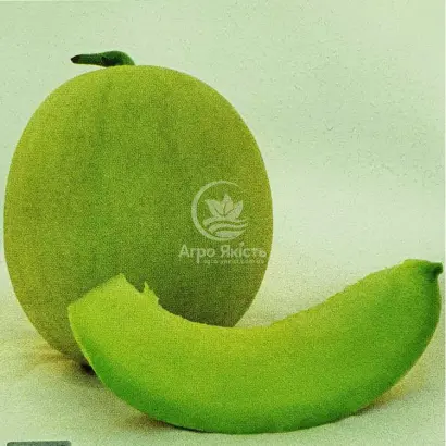 Mirra F1 / Міра F1