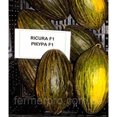 Ricura / Рікура