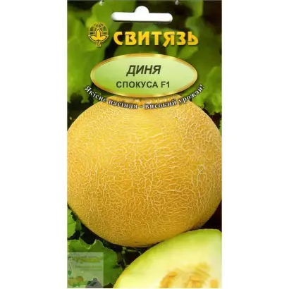 Spokusa F1 / Спокуса F1