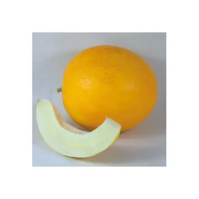 Shinari / Шинарі